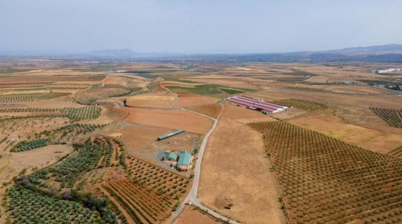 Granada - Cogollos de Guadix - 126000m2