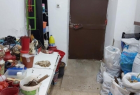 Foto 13