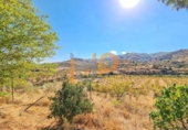Casa de camp amb terreny en venda a la España, Lubrín, ref.: TR375809 foto