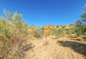 Casa de camp amb terreny en venda a la España, Lubrín, ref.: TR375809 foto