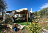 Chalet independiente con terreno en venta en la España, Costitx, ref: TR318874 foto