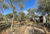Chalet independiente con terreno en venta en la España, Costitx, ref: TR318874 foto