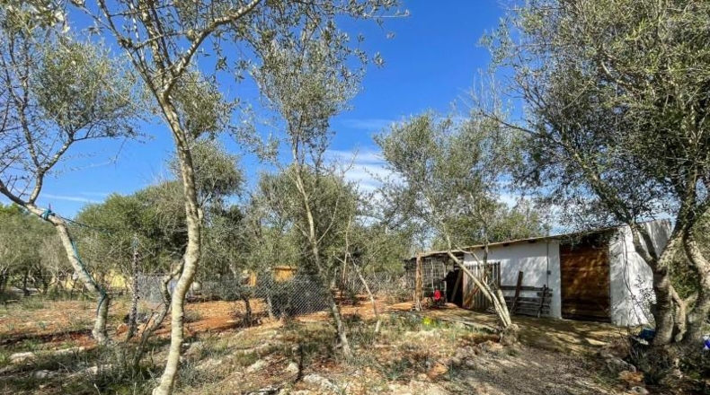 Islas Baleares - Costitx - 3956m2