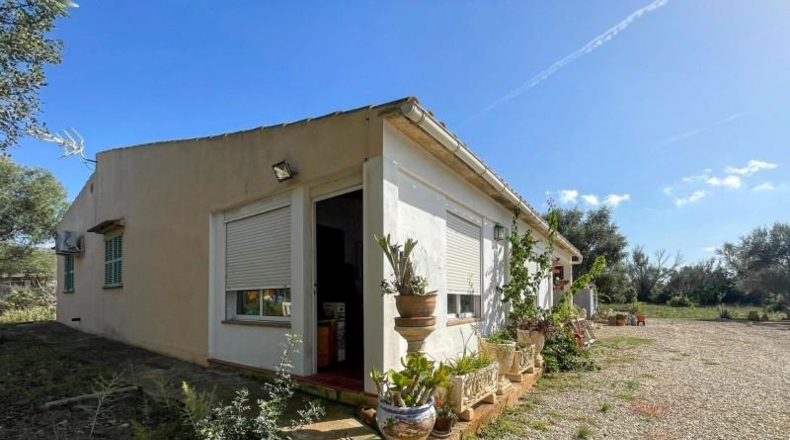 Islas Baleares - Costitx - 3956m2