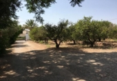 Casa de campo con terreno en venta en la España, Totana, ref: TR248658 foto
