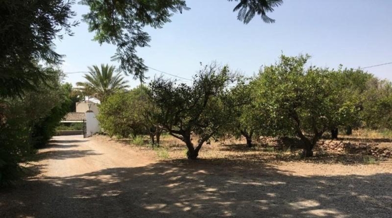 Murcia - Totana - 800m2