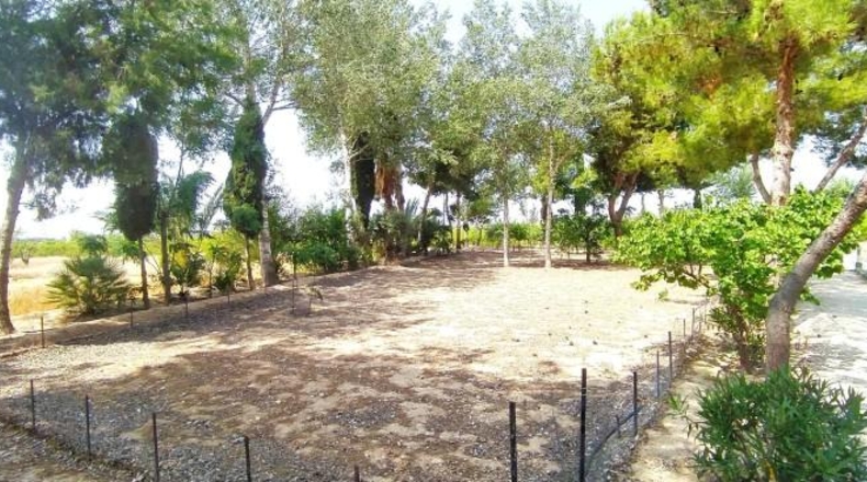 Sevilla - Sevilla - 8674m2