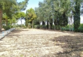 Xalet independent amb terreny en venda a la España, Sevilla, ref.: TR270797 foto