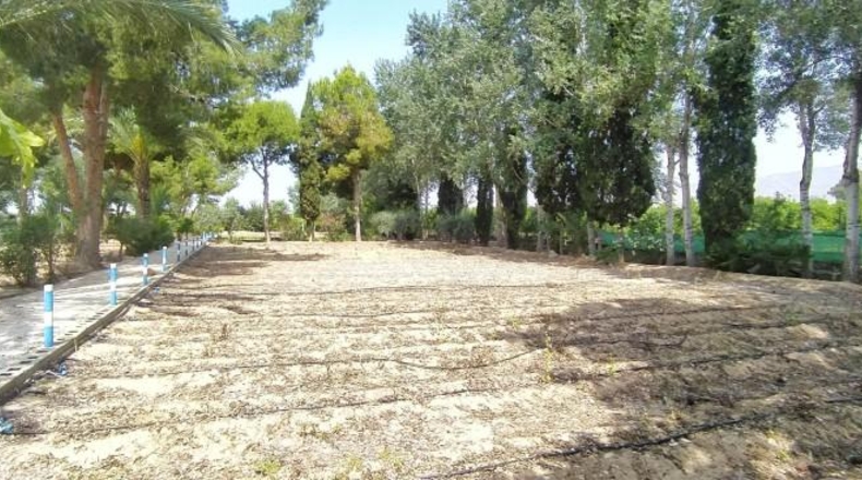 Sevilla - Sevilla - 8674m2