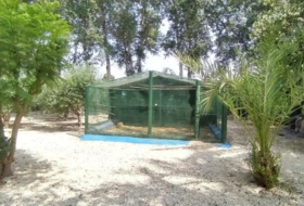 Foto 12