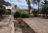 Casa de camp amb terreny en venda a la España, Elx, ref.: TR155073 foto