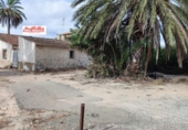 Casa de camp amb terreny en venda a la España, Elx, ref.: TR155073 foto