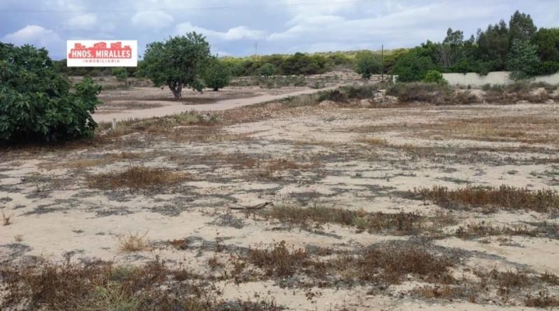Alicante - Elche - 2507m2