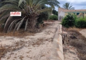 Casa de camp amb terreny en venda a la España, Elx, ref.: TR155073 foto