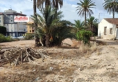 Casa de camp amb terreny en venda a la España, Elx, ref.: TR155073 foto