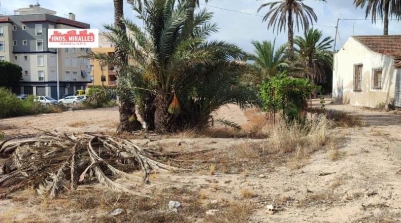 Alicante - Elche - 2507m2