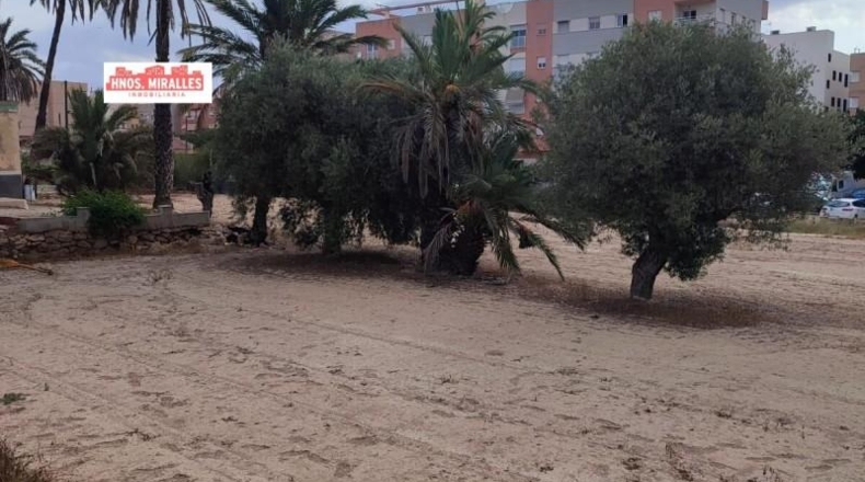 Alicante - Elche - 2507m2