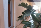 Xalet independent amb terreny en venda a la España, San Juan de los Terreros, ref.: TR157035 foto