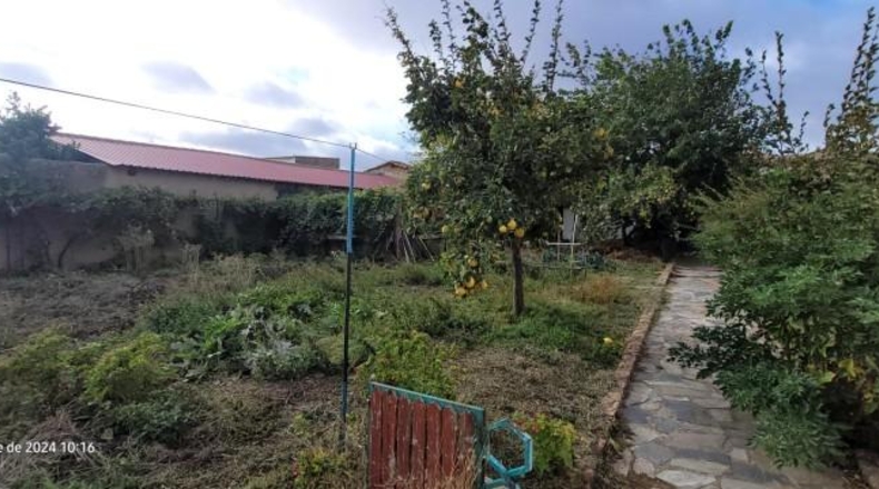 Zamora - Morales del Vino - 3200m2