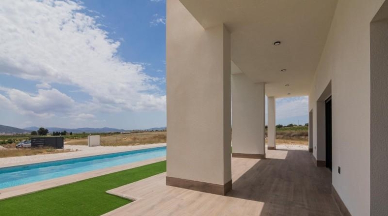 Alicante - Pinoso - 10000m2