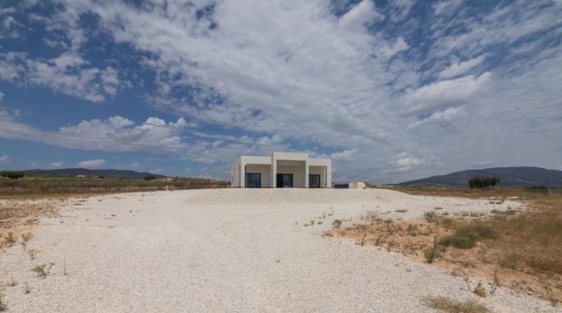 Alicante - Pinoso - 10000m2