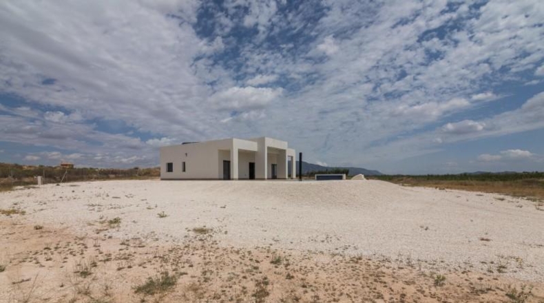 Alicante - Pinoso - 10000m2