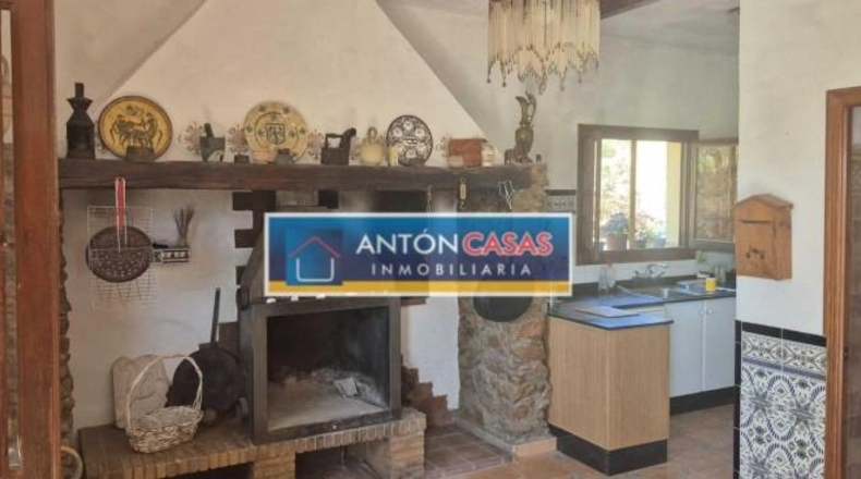 Alicante - Dolores - 11000m2