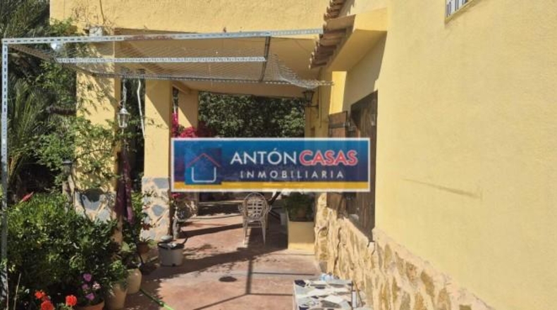 Alicante - Dolores - 11000m2