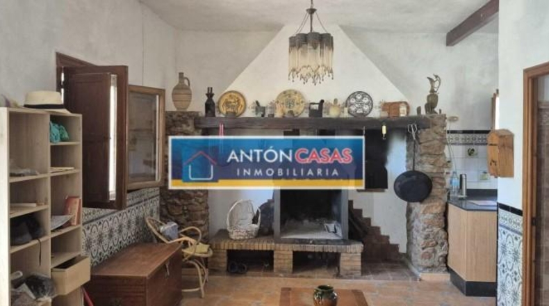 Alicante - Dolores - 11000m2