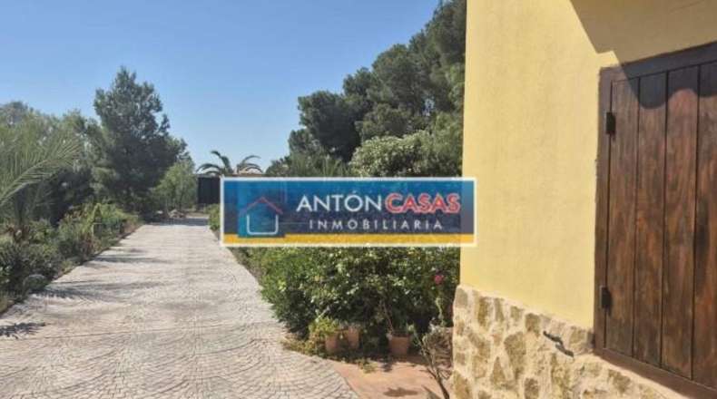 Alicante - Dolores - 11000m2