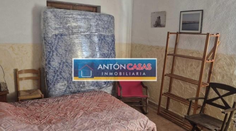 Alicante - Dolores - 11000m2