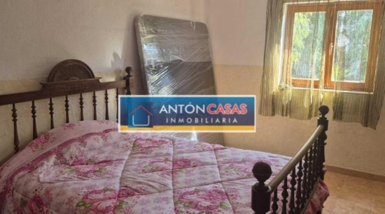Alicante - Dolores - 11000m2