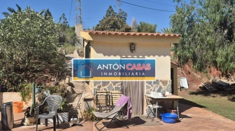 Alicante - Dolores - 11000m2