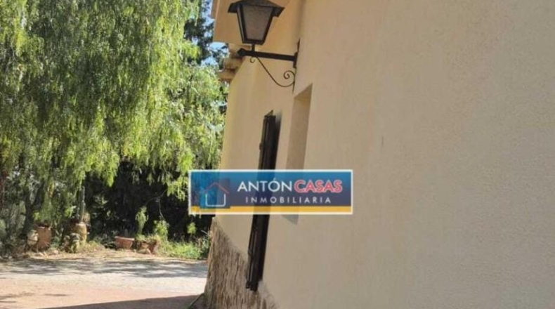 Alicante - Dolores - 11000m2