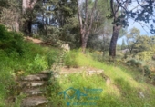 Sòl urbà en venda a la España, Cebreros, ref.: TR130322 foto