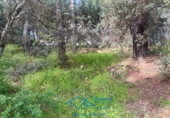 Sòl urbà en venda a la España, Cebreros, ref.: TR130322 foto