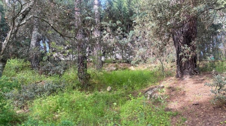 Avila - Cebreros - 3500m2