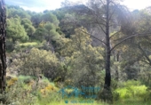 Sòl urbà en venda a la España, Cebreros, ref.: TR130322 foto