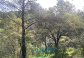 Sòl urbà en venda a la España, Cebreros, ref.: TR130322 foto