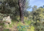 Sòl urbà en venda a la España, Cebreros, ref.: TR130322 foto