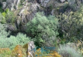 Sòl urbà en venda a la España, Cebreros, ref.: TR130322 foto