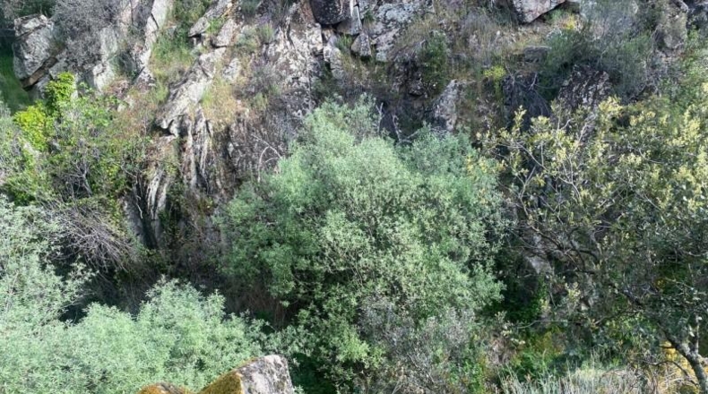 Avila - Cebreros - 3500m2