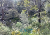 Sòl urbà en venda a la España, Cebreros, ref.: TR130322 foto