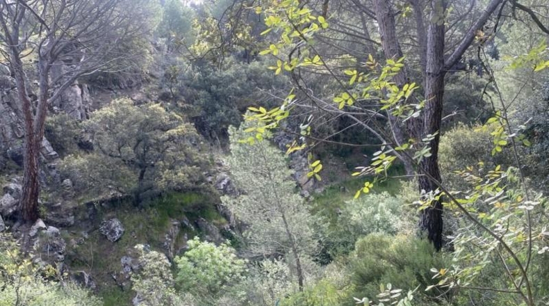 Avila - Cebreros - 3500m2