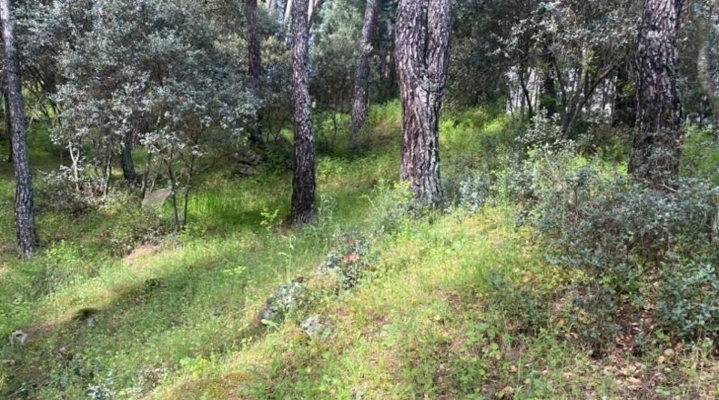 Avila - Cebreros - 3500m2