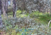 Sòl urbà en venda a la España, Cebreros, ref.: TR130322 foto