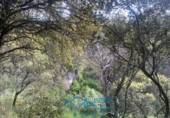Sòl urbà en venda a la España, Cebreros, ref.: TR130322 foto