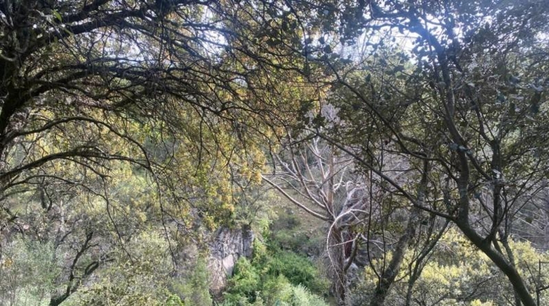 Avila - Cebreros - 3500m2