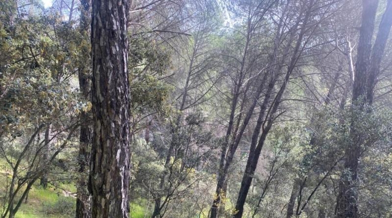 Avila - Cebreros - 3500m2