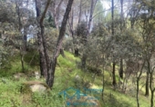 Sòl urbà en venda a la España, Cebreros, ref.: TR130322 foto